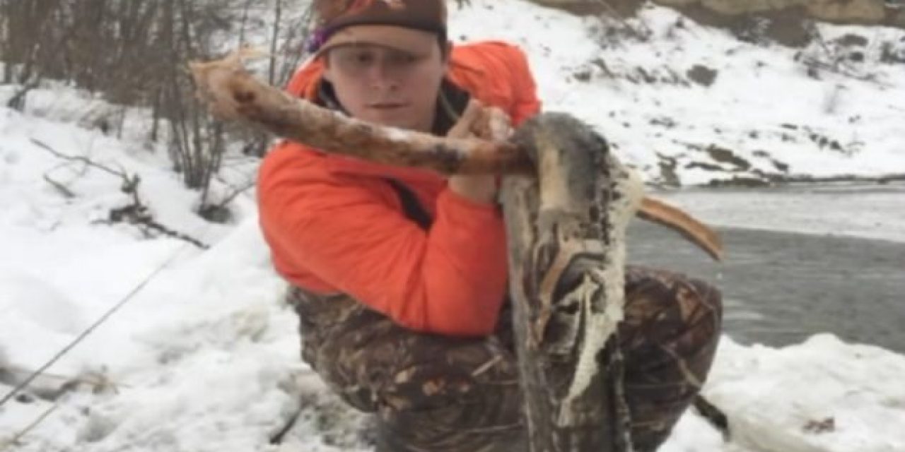 Remember When Fishermen Found a 16-Foot Frozen Snake in Ohio?