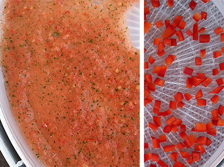 Salsa soup ingredients in a dehydrator