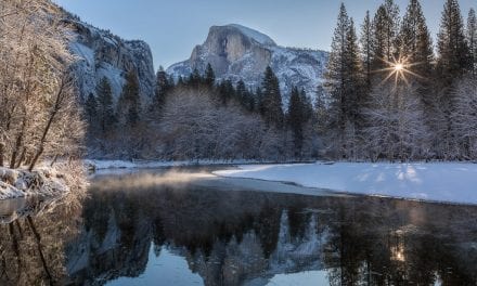 Stunning Sunbursts Assignment Winner Beth Howell