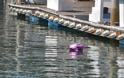 Texas Anglers Starting Balloon Roundup to Raise Littering Awareness