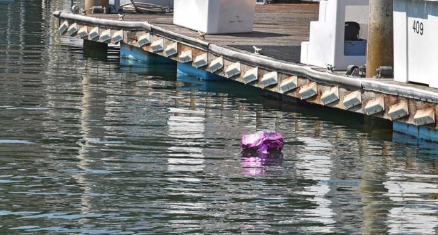 Texas Anglers Starting Balloon Roundup to Raise Littering Awareness