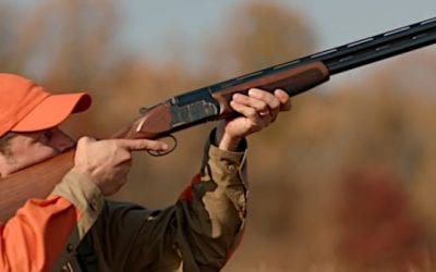 The 12 Best Upland Hunting Guns Available