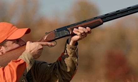 The 12 Best Upland Hunting Guns Available