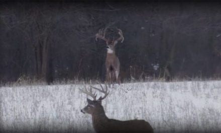 The Drury Outdoors Crew Filmed the Largest Wild Buck EVER Caught on Camera