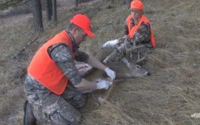 The Gutless Method of Dressing a Deer