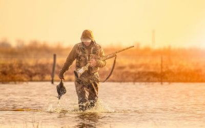Thoughts on Waterfowl