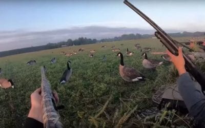 Watch These Guys Get a 7-Man Limit of Geese in Wisconsin