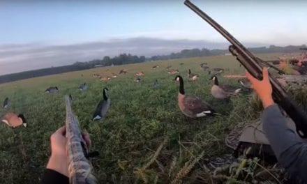 Watch These Guys Get a 7-Man Limit of Geese in Wisconsin