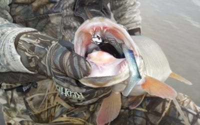 Why You Won’t Throw a Big Bait