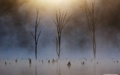 Atmospheric Landscapes Assignment Winner Danielle Austen