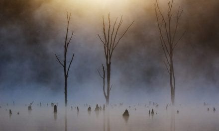 Atmospheric Landscapes Assignment Winner Danielle Austen