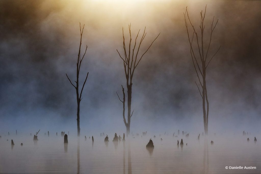 Congratulations to Danielle Austen for winning the recent Atmospheric Landscapes with the image, “Rise.”