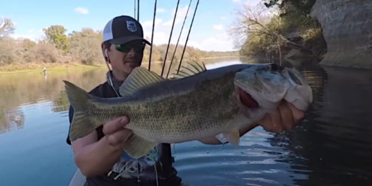 Bass Fishing in November: How to Find and Catch Big Ones This Time of Year