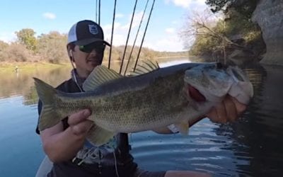 Bass Fishing in November: How to Find and Catch Big Ones This Time of Year