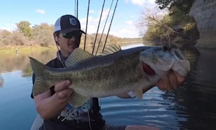 Bass Fishing in November: How to Find and Catch Big Ones This Time of Year