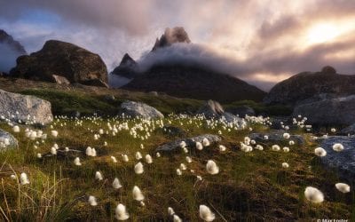 Behind The Shot: Arctic Breeze
