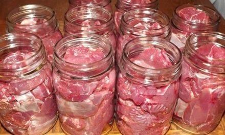 Canned Venison: How to Preserve Your Wild Game Meat the Old Fashioned Way