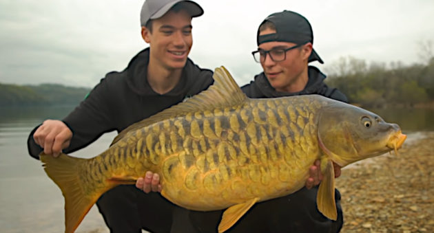 Carp Fishing