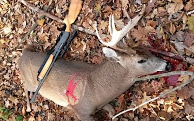 Deer Tracking Tips for 3 Different Scenarios