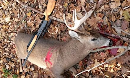 Deer Tracking Tips for 3 Different Scenarios