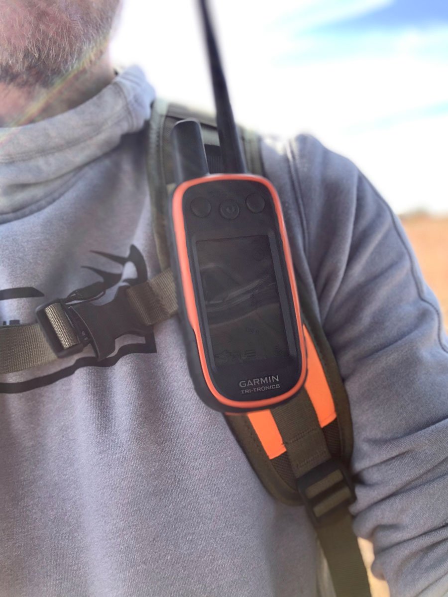 Garmin Alpha 100