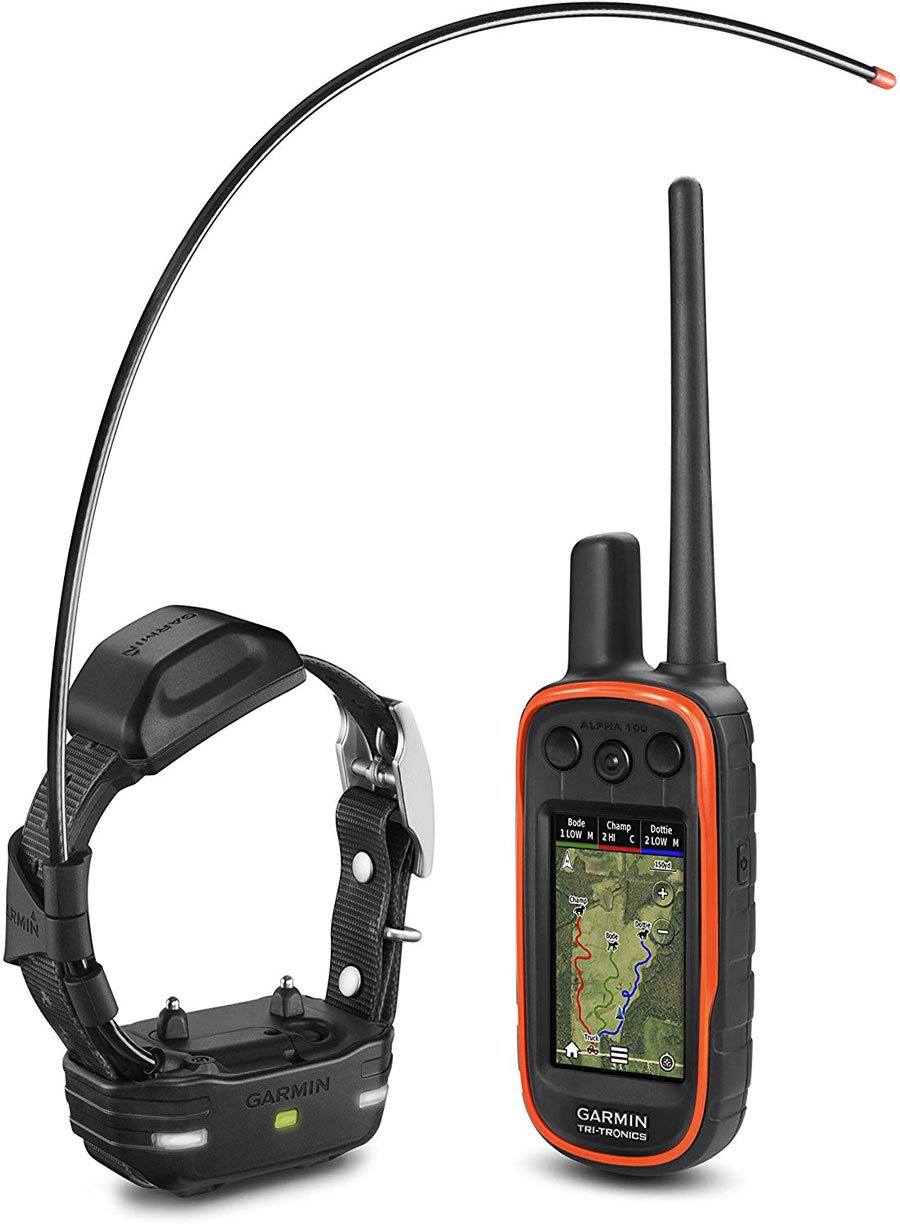 Garmin Alpha 100 The GPS Training Collar That Turned My Pup Into A 
