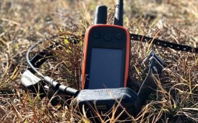 Garmin Alpha 100: The GPS Training Collar That Turned My Pup Into a Hunting Dog