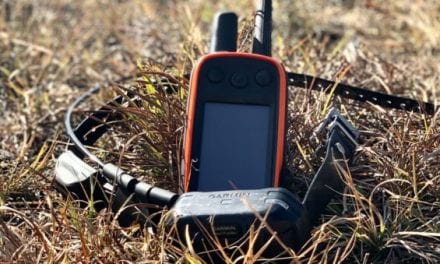 Garmin Alpha 100: The GPS Training Collar That Turned My Pup Into a Hunting Dog