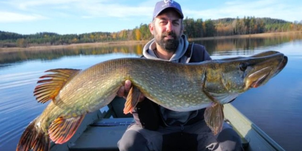 Here’s Why Everyone Should Consider Pike Fishing in Sweden