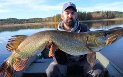 Here’s Why Everyone Should Consider Pike Fishing in Sweden