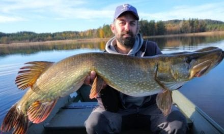 Here’s Why Everyone Should Consider Pike Fishing in Sweden