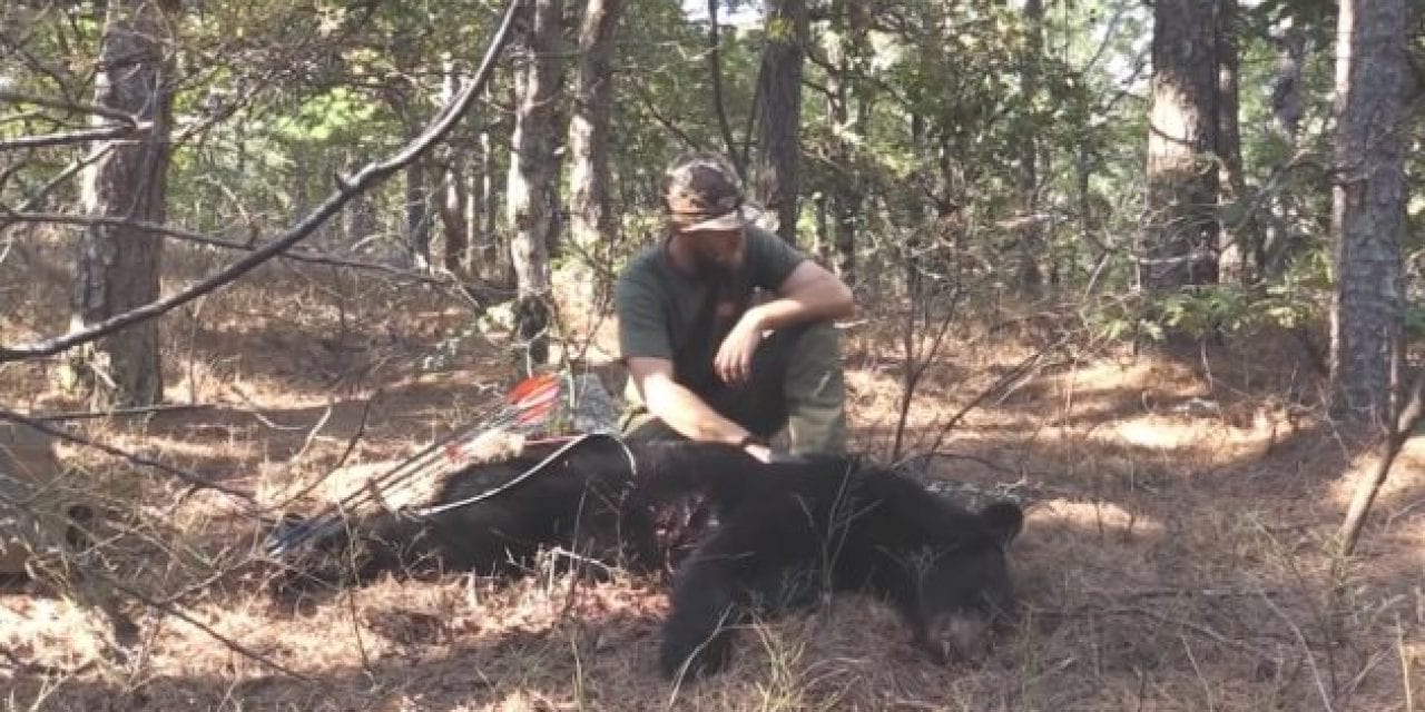 Hunter Shoots Black Bear On Foot With a Traditional Bow on Public Land