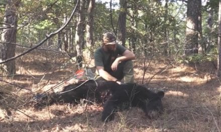 Hunter Shoots Black Bear On Foot With a Traditional Bow on Public Land