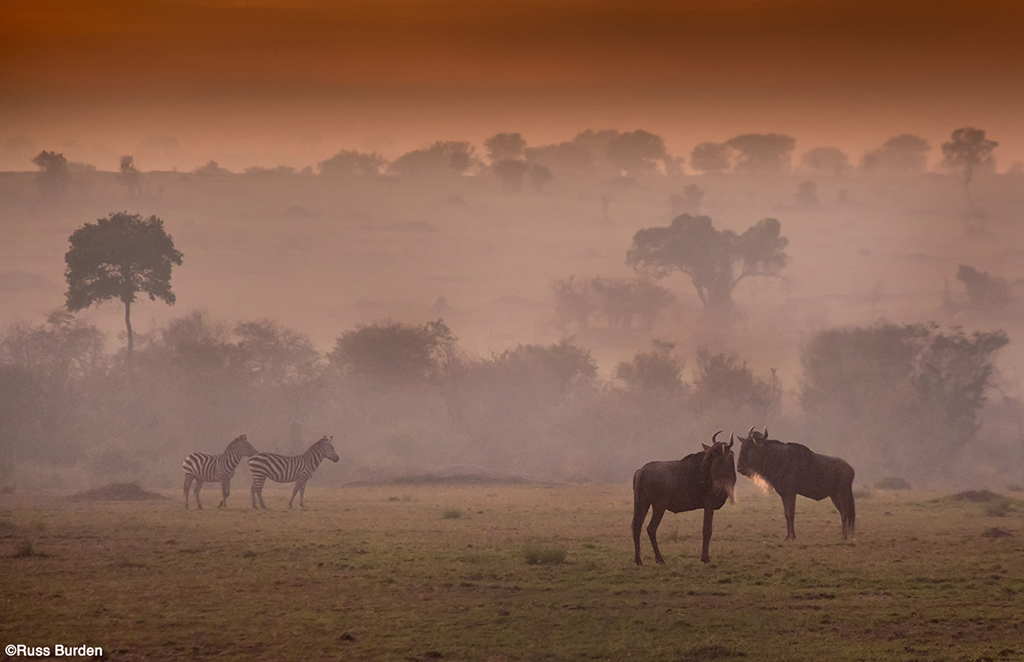 Let The Fog Roll In