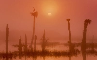 Let The Fog Roll In