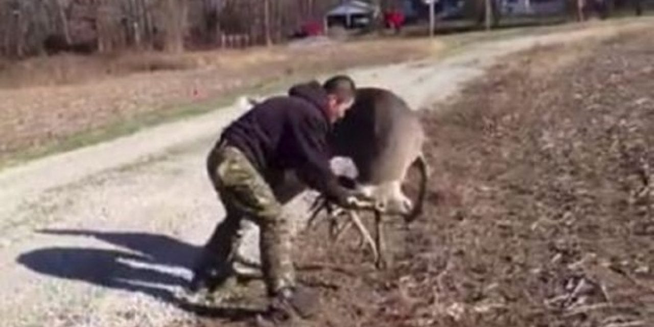 Man Takes on Deer in Wrestling Match, and the Scuffle is Captured on Video
