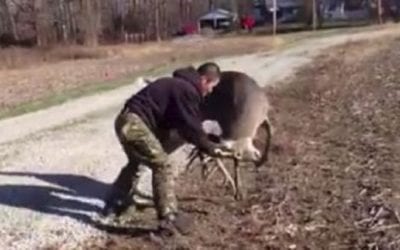 Man Takes on Deer in Wrestling Match, and the Scuffle is Captured on Video