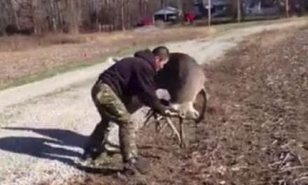 Man Takes on Deer in Wrestling Match, and the Scuffle is Captured on Video