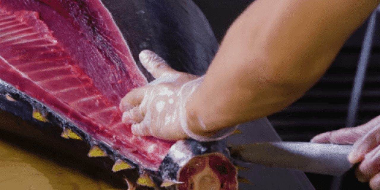 Master Butchery of a Whole Tuna on Display