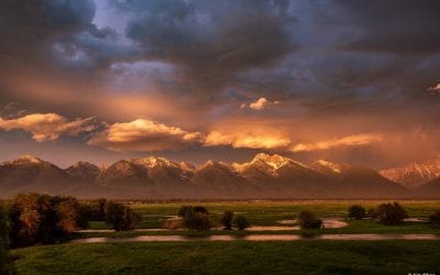 Photo Of The Day By Jim Oker