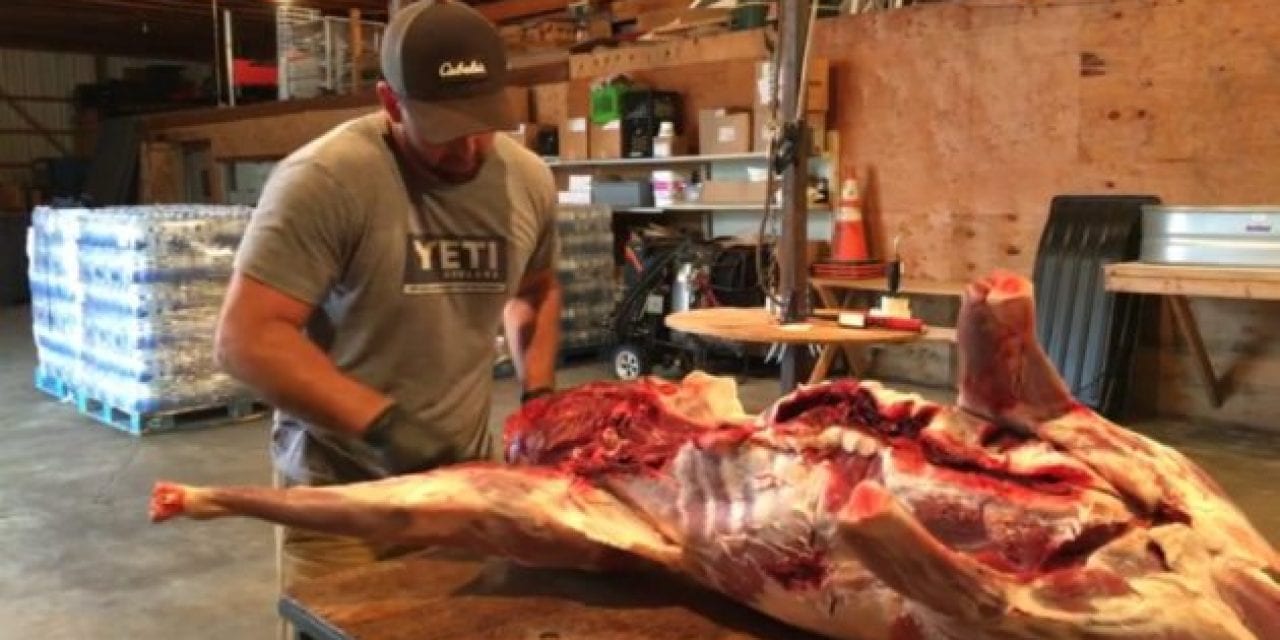 Processing Your Own Deer Made Easy: Part One