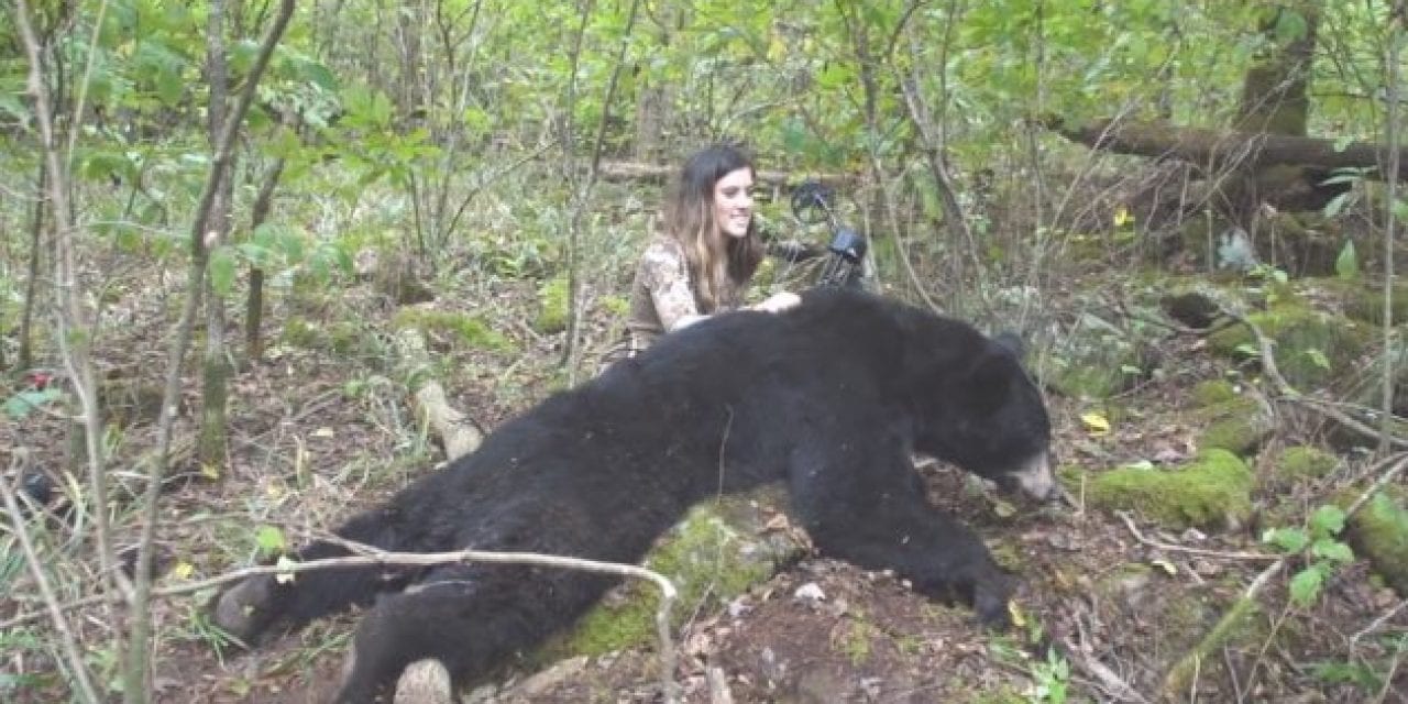 River Newcomb Finally Arrowed a Big Arkansas Black Bear