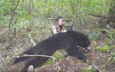 River Newcomb Finally Arrowed a Big Arkansas Black Bear