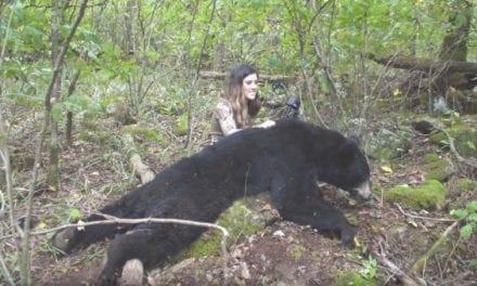 River Newcomb Finally Arrowed a Big Arkansas Black Bear