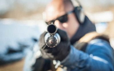 The Best States for Gun Owners in 2020