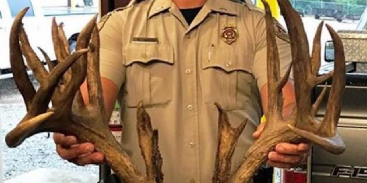 The Trophy Buck That Was Killed on the Highway in Oklahoma