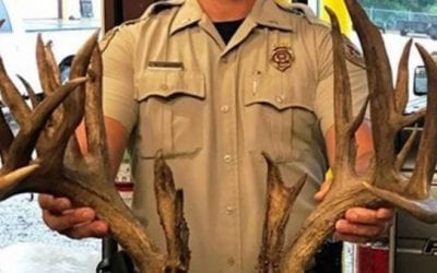 The Trophy Buck That Was Killed on the Highway in Oklahoma
