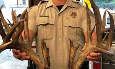 The Trophy Buck That Was Killed on the Highway in Oklahoma