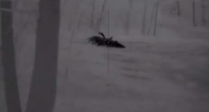 This is Best Shot You'll Ever See on a Wild Hog - Outdoor Enthusiast ...