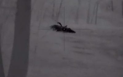 This is Best Shot You’ll Ever See on a Wild Hog